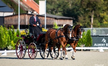 Baborówko Driving Show 2024