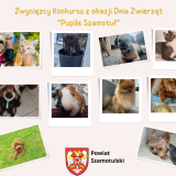 Zwycięskie zdjęcia w Konkursie z okazji Dnia Zwierząt