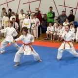 karate  (1)