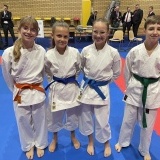 Międzywojewódzkie Mistrzostwa Młodzików w Karate WKF strefy B